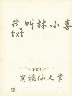 我叫林小喜小说txt