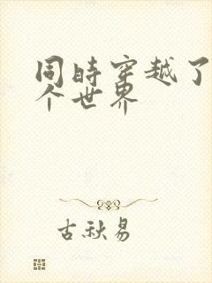 同时穿越了99个世界