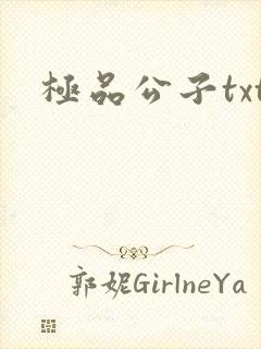 极品公子txt封面