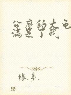 公么的大龟强大满足了我