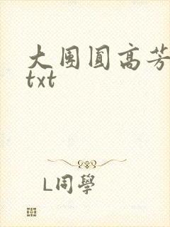 大团圆高芳小说txt