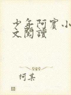 少年阿宾小说全文阅读