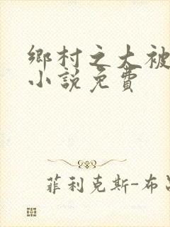 乡村之大被同眠小说免费