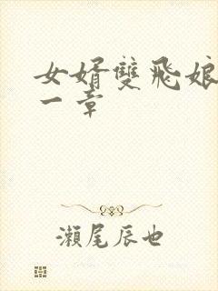 女婿双飞娘俩第一章