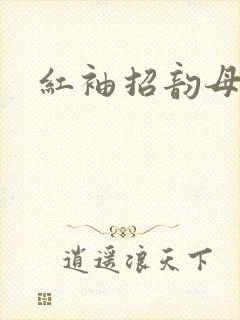 红袖招韵母攻略