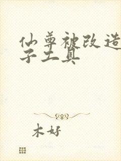 仙尊被改造成产子工具