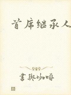 首席继承人封面