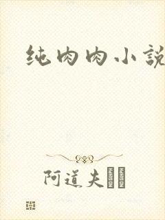 纯肉肉小说