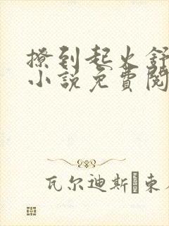 撩到起火舒漾的小说免费阅读全文