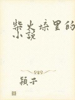 柴火垛里的疯狂小说