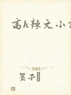 高h辣文小说封面