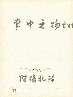 掌中之物txt封面