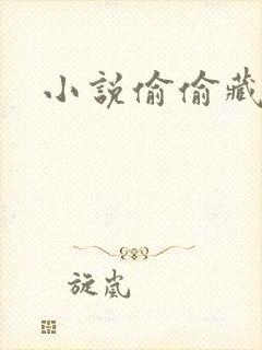 小说偷偷藏不住