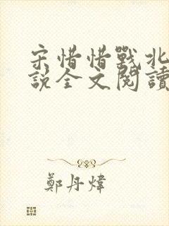 宋惜惜战北望小说全文阅读封面