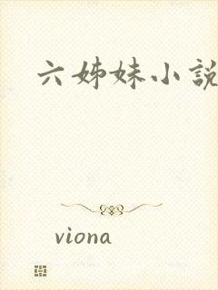 六姊妹小说