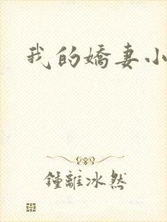 我的娇妻小说封面