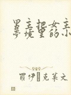 男主把女主拖进梦境里的小说