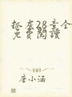 抓灰28章全部免费阅读