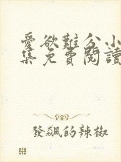 爱欲难分小说全集免费阅读封面