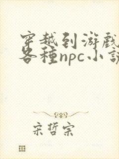 穿越到游戏里和各种npc小说封面