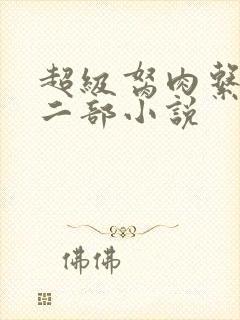 超级胬肉系统第二部小说封面