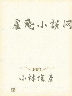 卢飞小说网