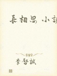 长相思 小说