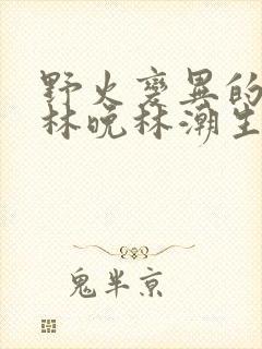 野火变异的父爱林晚林潮生封面