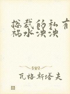 总裁的私有宝贝祸水泱泱封面