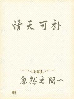 情天可补