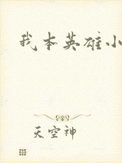 我本英雄小说
