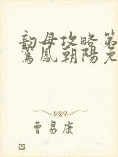 韵母攻略第二部鸾凤朝阳免费阅读封面