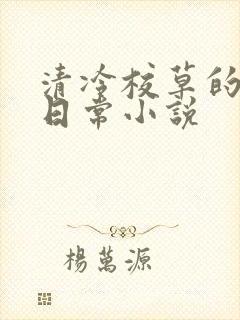 清冷校草的堕落日常小说