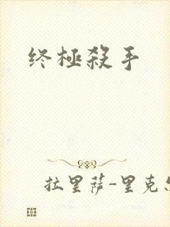 终极杀手