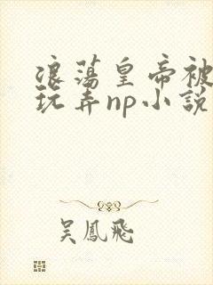 浪荡皇帝被多人玩弄np小说