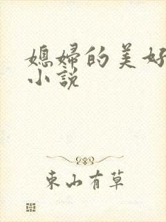 媳妇的美好时代小说封面