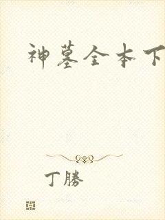 神墓全本下载封面