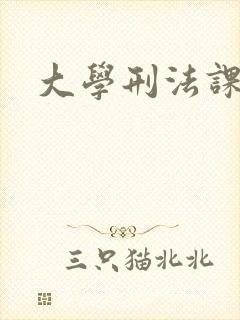大学刑法课