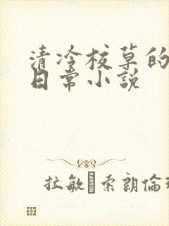 清冷校草的堕落日常小说