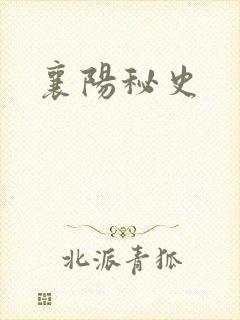 襄阳秘史