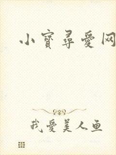 小宝寻爱网封面