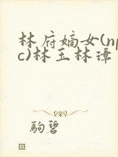 林府嫡女(npc)林玉林璋