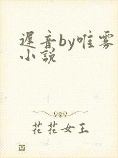 迟音by唯雾的小说封面