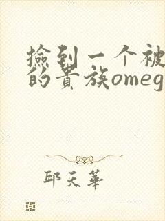 捡到一个被抹布的贵族omega