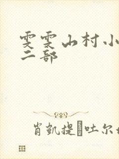 雯雯山村小说第二部封面