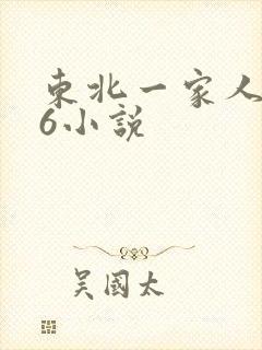 东北一家人1一6小说