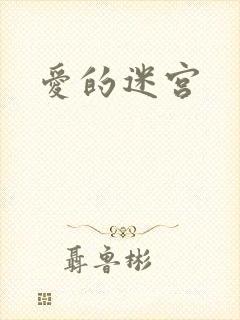 爱的迷宫