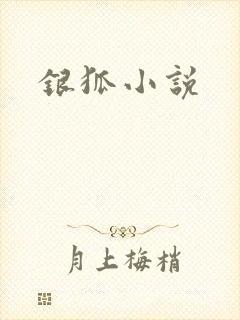 银狐小说
