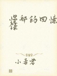 慢哪的回忆录目录封面