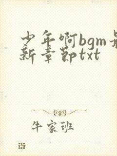 少年啊bgm最新章节txt